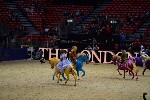 Quadrille - 00557
